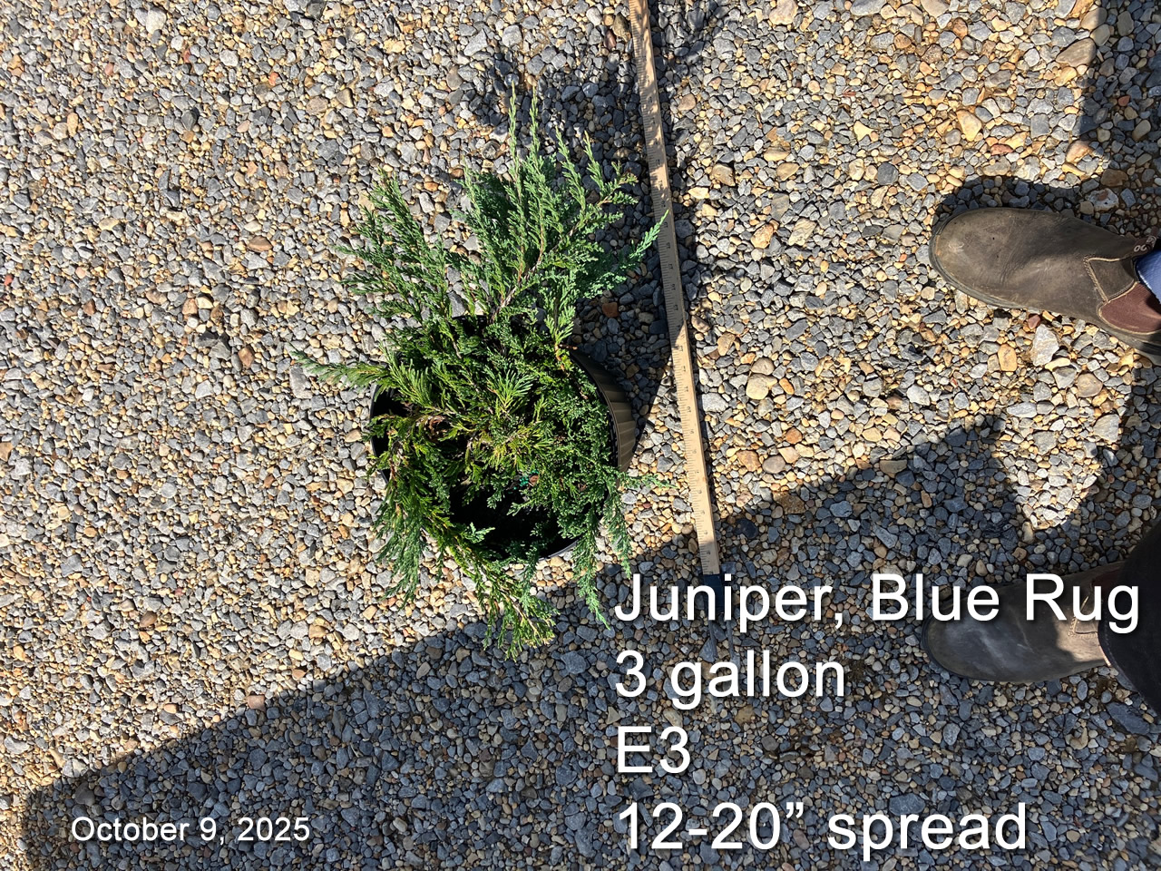 gallery/jbr3 e3 oct9.jpg